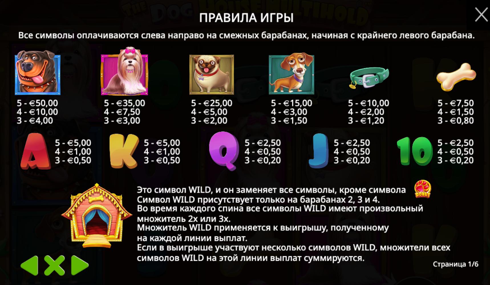 The Dog House Multihold правила